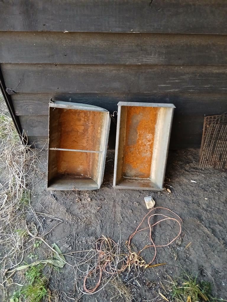 Drinkbakken, Dieren en Toebehoren, Schapen, Geiten en Varkens, Vrouwelijk, Schaap