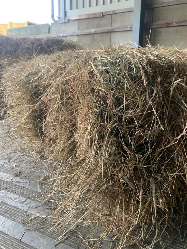 HOOI BALEN VOOR PAARD _ PONY, Ophalen, Vee