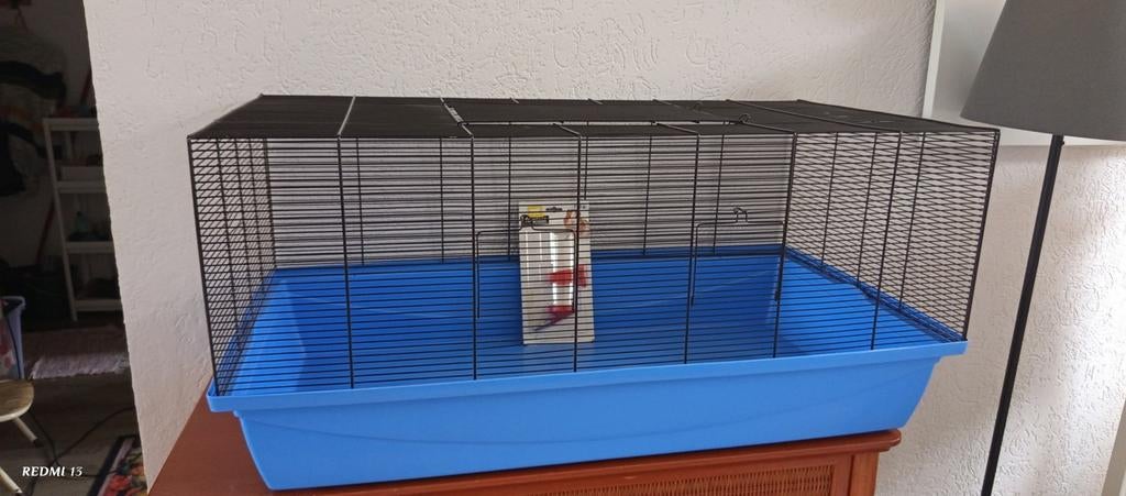 Kooi, Ophalen of Verzenden, Hond