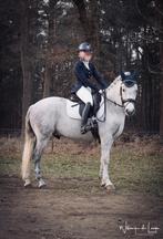 BIJRIJD PONY AANGEBODEN, Dieren en Toebehoren, Ophalen of Verzenden