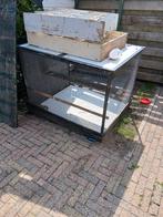 duivenren, Meerdere dieren, Postduif