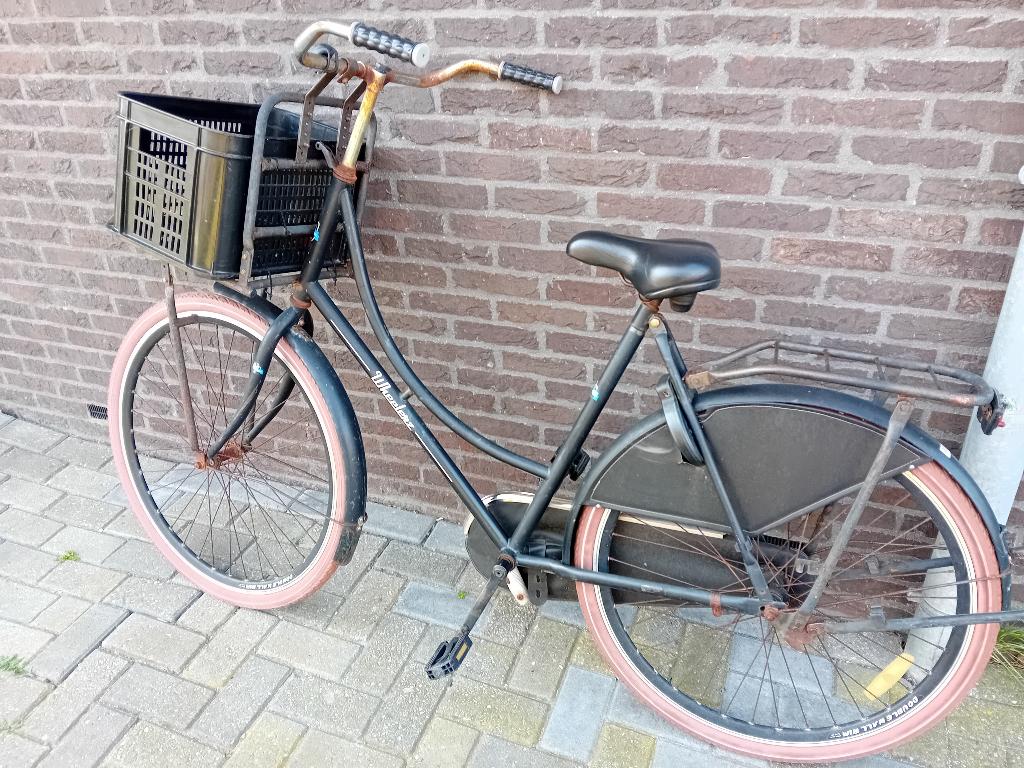 Omafiets, Terugtraprem, Gebruikt, 56 cm of meer, Ophalen