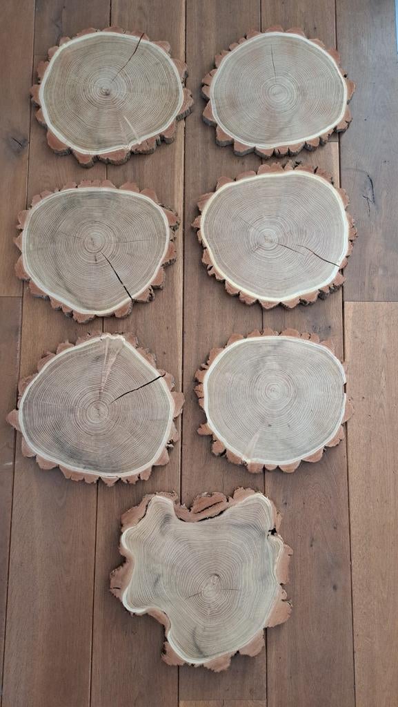 🪵Organische boomschijven houtschijf met ruwe Schors  Ø 35cm, Hout, Nieuw, Ophalen of Verzenden, Landelijk
