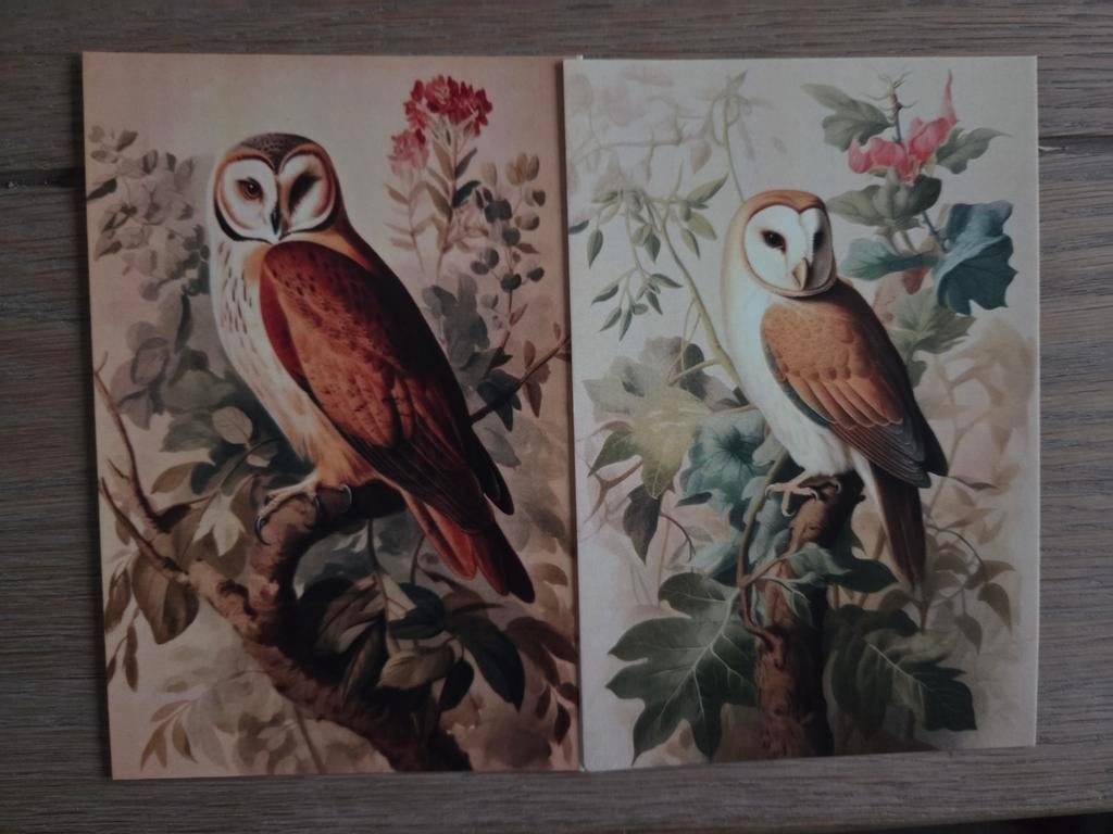 VOGELS 4, Ophalen, 1980 tot heden, Vogel