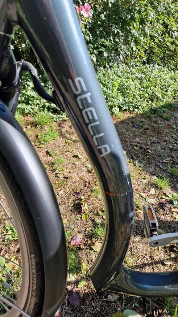 Stella driewieler fiets voor volwassenen met zware accu, Fietsen en Brommers, Fietsen | Driewielfietsen, Ophalen