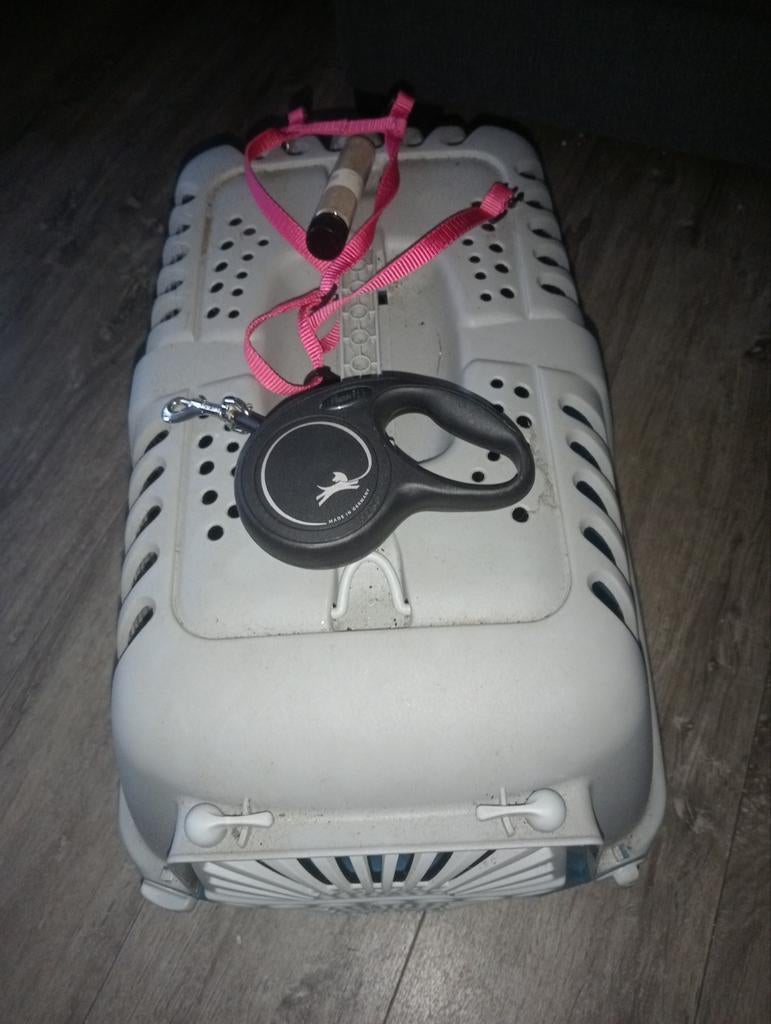 For the cat, Ophalen of Verzenden