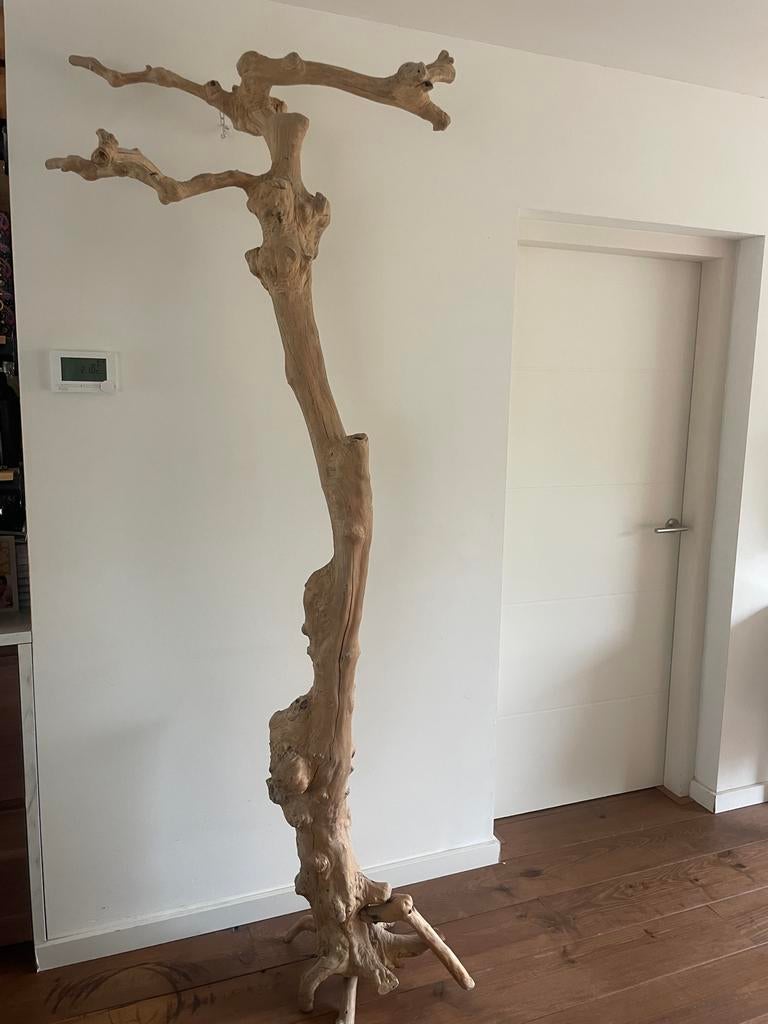 Unieke decoratieve tak van drijfhout, Ophalen, Hout, Gebruikt, Landelijk