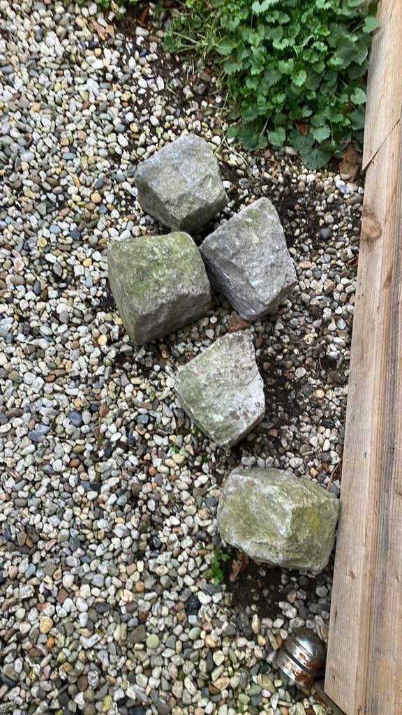 Gratis. 5 kinderkopjes. Stenen. Afhalen. Tuin., Tuin en Terras, Ophalen, Zo goed als nieuw