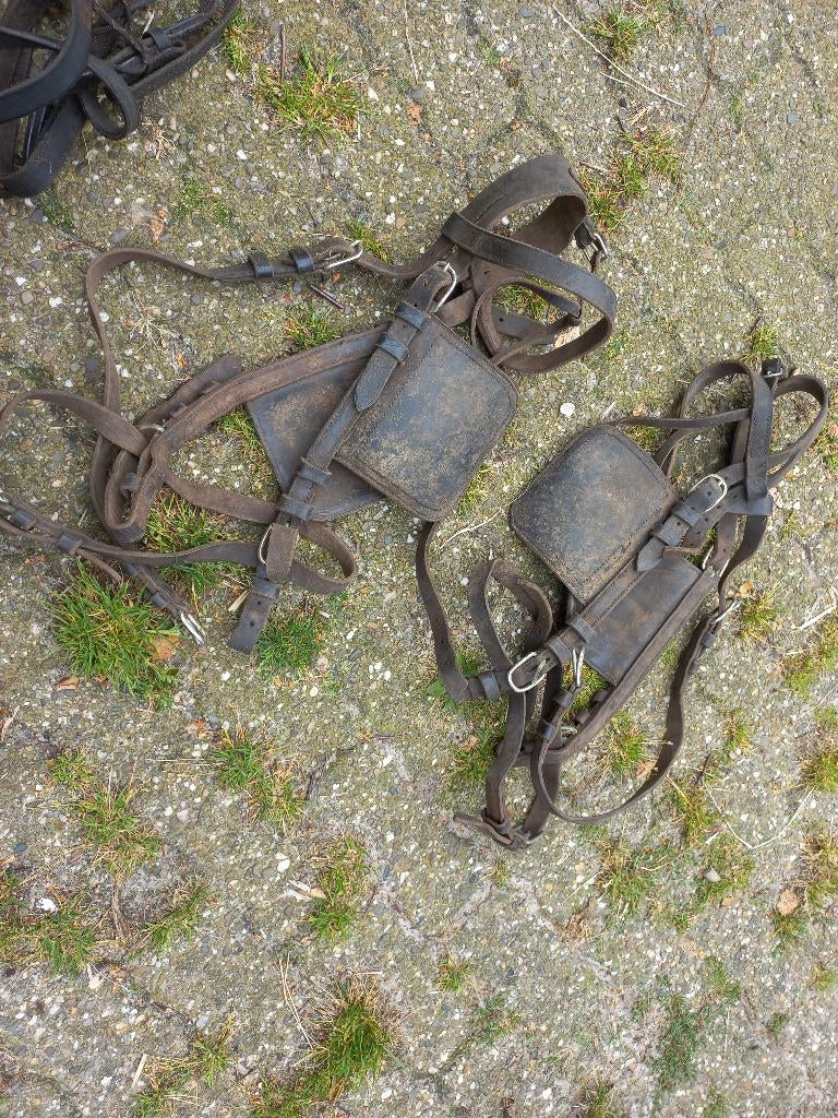 Losse oogkleppen 2x hoofdstel en teugels, Dieren en Toebehoren, Ophalen, Gebruikt, Dressuur