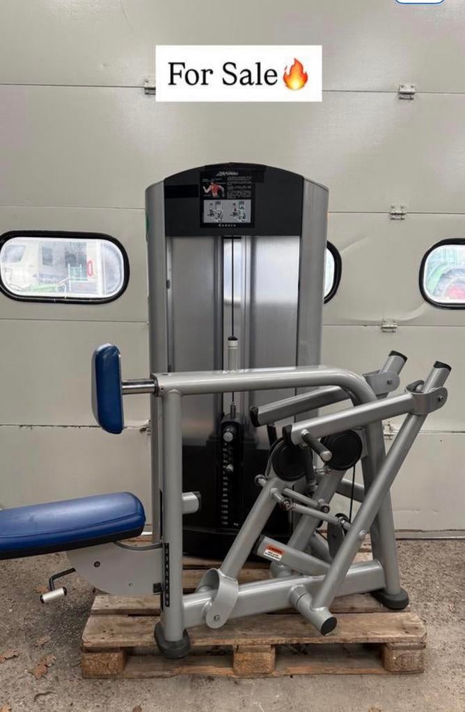 Life Fitness Back extension / Ruckenstrecker / backextension, Ophalen, Benen, Gebruikt, -