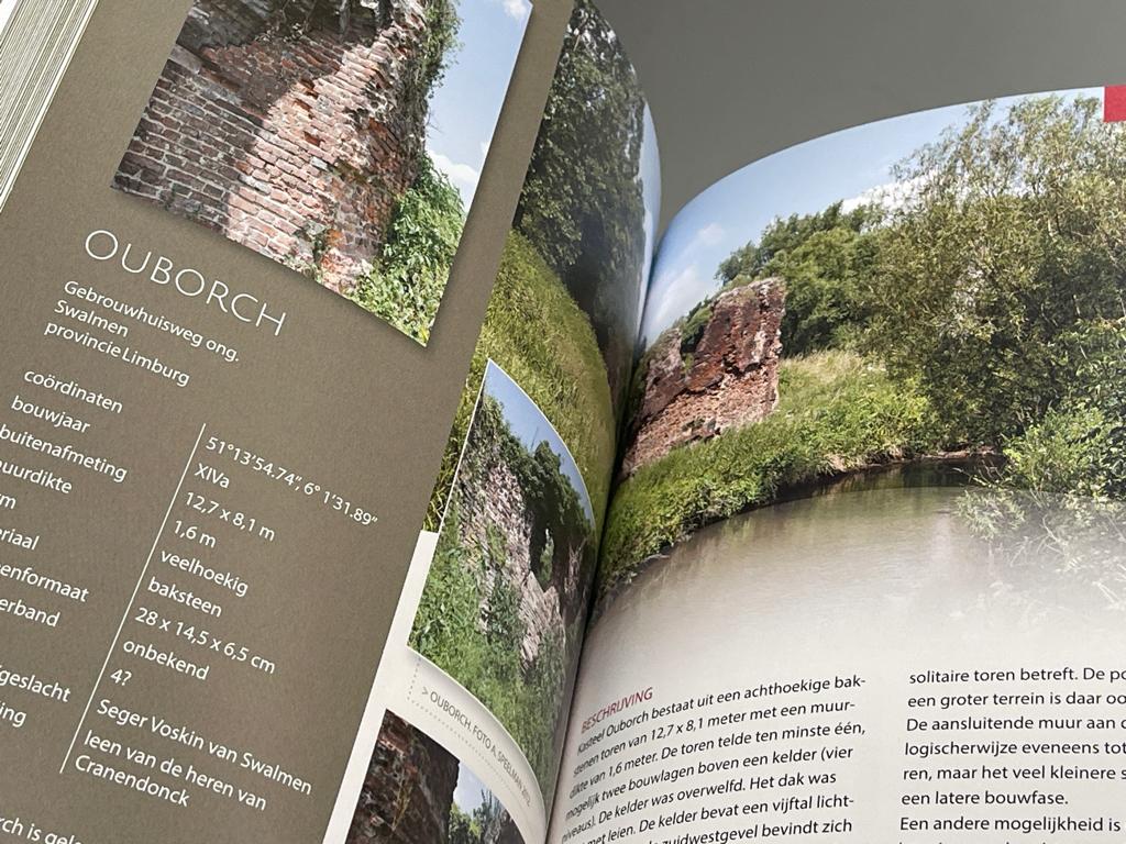 bouwhistorische gids voor middeleeuwse woontorens Nederland, Ophalen of Verzenden, Zo goed als nieuw, Overige onderwerpen