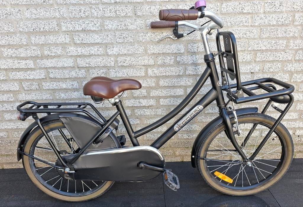 meisjes fiets 20 inch popal daily dutch, Ophalen, Zo goed als nieuw, 20 inch, Handrem