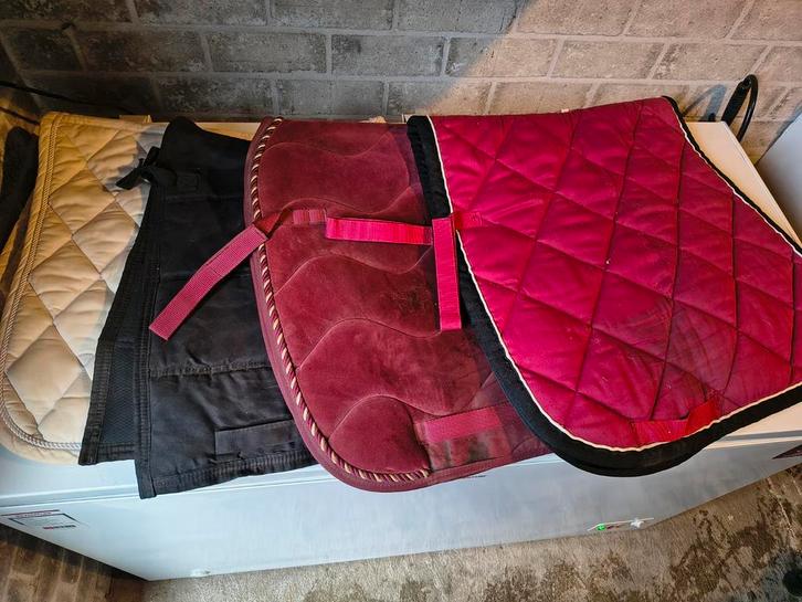 Partij paardenspulllen, Hobby en Vrije tijd, Verzamelkaartspellen | Pokémon, Ophalen of Verzenden