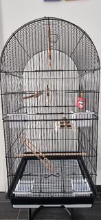Parkietenkooi, Ophalen, Zo goed als nieuw, Metaal, Vogelkooi