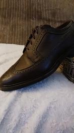 Allen Admonds / veter schoen, Kleding | Heren, Schoenen, Ophalen, Zo goed als nieuw, Overige kleuren
