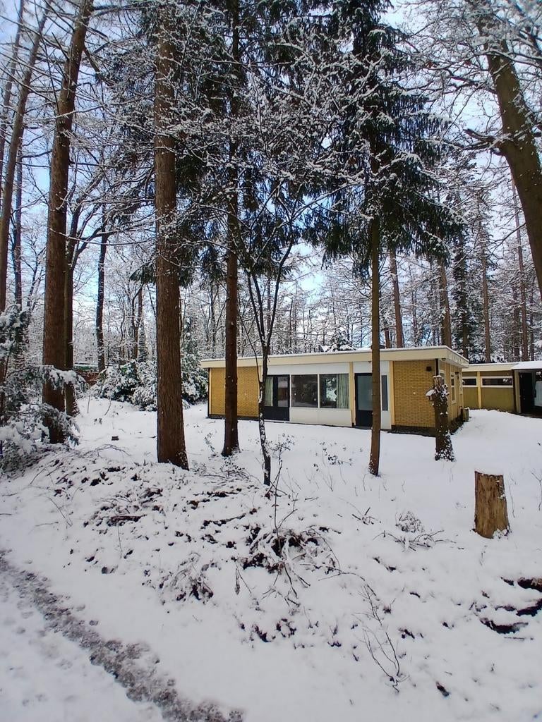 Charmante bungalow met riante kavel Bungalowpark Doldersum, Huizen en Kamers, Recreatiewoningen te koop, 66 m², Bungalow, Drenthe