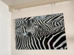 Zebra’s op glasplaat, Huis en Inrichting, Woonaccessoires | Schilderijen, Tekeningen en Foto's, Foto of Poster, Zo goed als nieuw