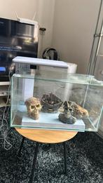 Aquarium met bijbehorende artikelen, Dieren en Toebehoren, Vissen | Aquaria en Toebehoren, Ophalen, Zo goed als nieuw, Leeg aquarium