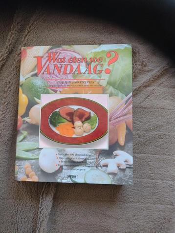 Wat eten we vandaag? Kookboek beschikbaar voor biedingen
