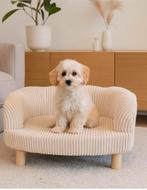 Hondenfauteuil beige ribstof Action, Dieren en Toebehoren, Hondenmanden, Ophalen, Nieuw, Stof