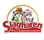e-tickets Slagharen, Drie personen of meer, Ticket of Toegangskaart