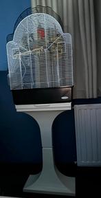 Parkieten kooi op voet, Dieren en Toebehoren, Vogels | Parkieten en Papegaaien, Meerdere dieren, Parkiet