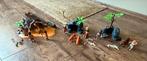 Playmobil Prehistorie Set 5101, 5102, 5103, Kinderen en Baby's, Speelgoed | Playmobil, Ophalen of Verzenden, Gebruikt, Complete set