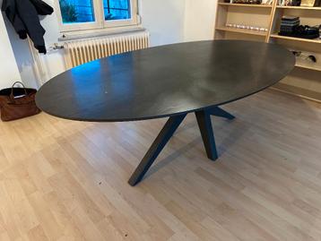 Ovale design eettafel
