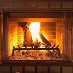 Haard Rooster, Huis en Inrichting, Haarden, Niet ingevuld, Niet ingevuld, Nieuw, Ophalen of Verzenden