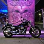 Kawasaki Vulcan VN800 Classic, Motoren, Motoren | Yamaha, Particulier, Chopper