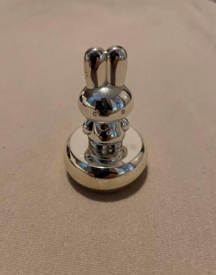 Verzilverd tandendoosje Nijntje - NIEUW, Kinderen en Baby's, Kraamcadeaus en Geboorteborden, Nieuw, Ophalen of Verzenden