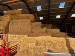 Goudgeel gerstestro te koop, Dieren en Toebehoren, Ophalen of Verzenden, Vee