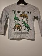 Stoere trui met dinosaurussen - maat 4-6 jaar, Kinderen en Baby's, Kinderkleding | Overige, Ophalen of Verzenden, Zo goed als nieuw