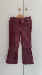 Mango. Broek winter fluweel paars. Maat 134, Broek, Gebruikt, Meisje, Mango