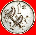 * Riebeeck (1619-1677): SOUTH AFRICA 1 CENT 1967  ENGLISH!, Postzegels en Munten, Zuid-Afrika, Losse munt, Verzenden
