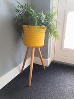 Plantenstandaarden

Handed By - Plantenstandaard - Bloempot, Overige materialen, Rond, Binnen, Zo goed als nieuw