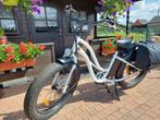 Elektriche Beach Cruiser, Ophalen, Zo goed als nieuw, Overige merken