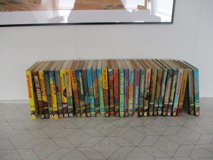 Arendsoog 32 delen, Boeken, Kinderboeken | Jeugd | 13 jaar en ouder, Gelezen, Ophalen