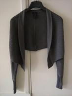 Chique verfijnd gebreid taupe bolero-vestje CREA 38 snazzeys, Kleding | Dames, Maat 38/40 (M), Bruin, Verzenden, Crea