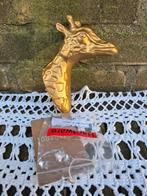 wandhaak/kapstokhaak, Ophalen of Verzenden, Nieuw