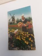 HOLLAND IN BLOEMENTOOI  1978, Verzamelen, Ophalen of Verzenden, 1960 tot 1980, Zeeland