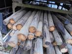 heiningpalen  lang 225 cm  dik 8 cm, Ophalen, Gebruikt, 180 tot 250 cm, Palen
