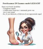 Examen Model Gezocht!, 33 - 40 uur, Overige niveaus, Starter, Overige vormen