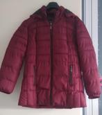 Nieuwe Donkerrode winterjas  maat m met afritsbare capuchon, Kleding | Dames, Maat 38/40 (M), Bxonswear, Ophalen of Verzenden
