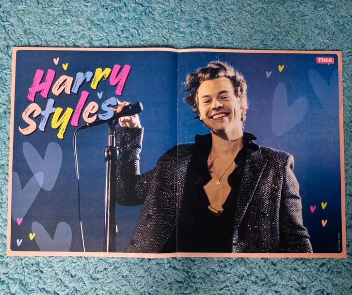 Harry Styles One Direction poster Tina, Verzamelen, Posters, Nieuw, Muziek, A1 t/m A3, Rechthoekig Liggend, Ophalen of Verzenden