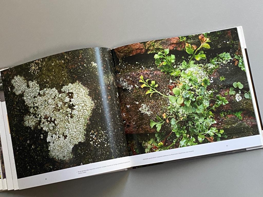 De Groene Vestingmuren Van 's-Hertogenbosch - Natuur, Boeken, Ophalen of Verzenden, Zo goed als nieuw, Natuur algemeen