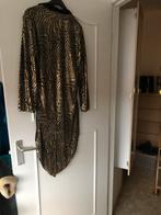 Carnaval sleepjas, Kleding | Dames, Carnavalskleding en Feestkleding, Ophalen of Verzenden, Zo goed als nieuw, Maat 42/44 (L)