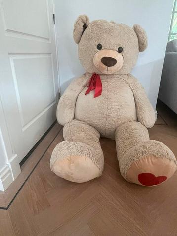 Teddybeer beschikbaar voor biedingen