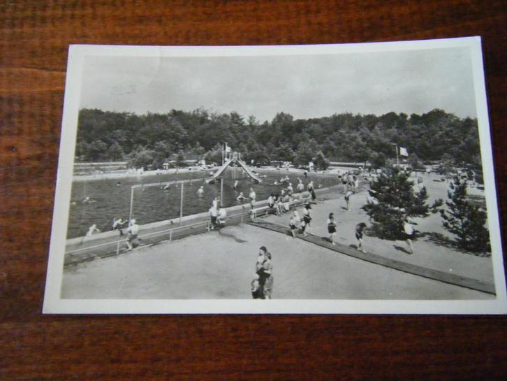 S36 - Putten - Zwembad / Bosbad - 1953 - Mooi/Oud 3, Verzamelen, Ansichtkaarten | Nederland, Gelderland, 1940 tot 1960, Ophalen of Verzenden