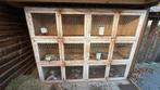 Konijnen / cavia flat met 6 of 3 hokken., Dieren en Toebehoren, Ophalen, Hamster, 90 cm of meer, Hok